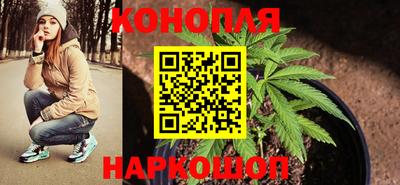 прущая мука Гатчина