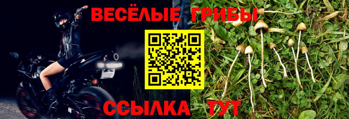 Галлюциногенные грибы ЛСД Мариинск