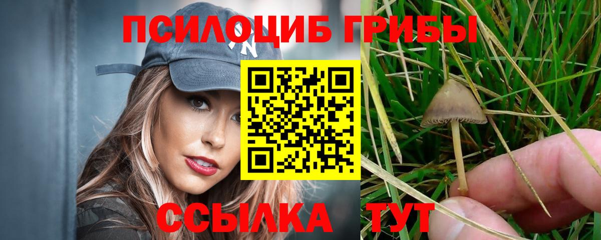 Мариинск  Псилоцибиновые грибы GOLDEN TEACHER  Вход с VPN 